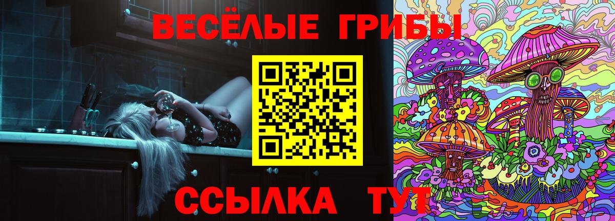 Псилоцибиновые грибы Psilocybine cubensis  Вход с VPN  Красный Сулин 